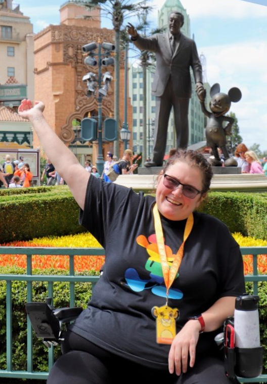 Disney land 2
